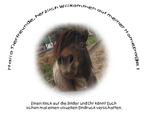 Mehr Tierbilder? Dann klick auf meine Nase